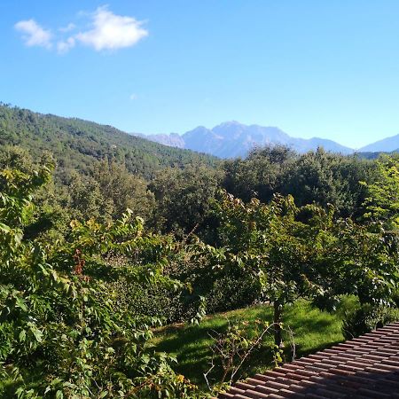 Ucciani L'Ogliastru B&B 외부 사진